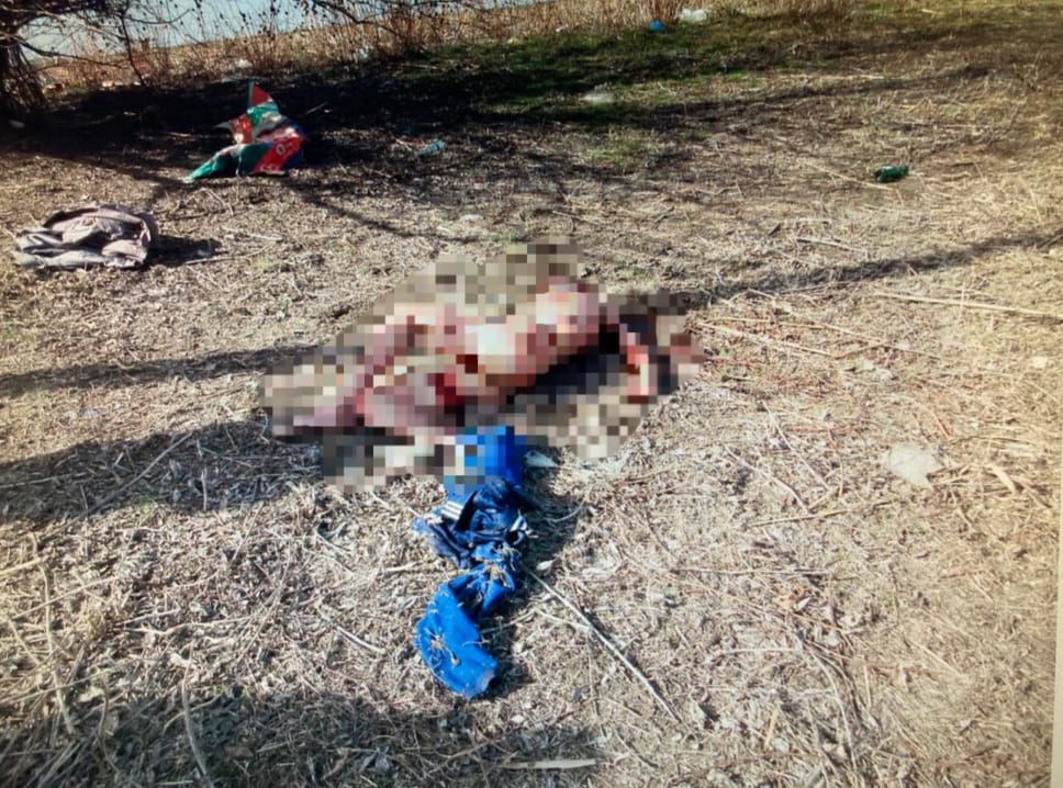 Версия силовиков: сегодня утром собаки съели еще одного астраханца