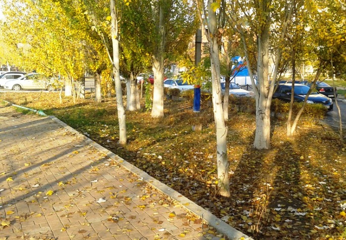 На севере Астраханской области температура начинает падать