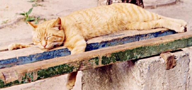 Жара, гроза и ветер: пятничная погода в Астрахани