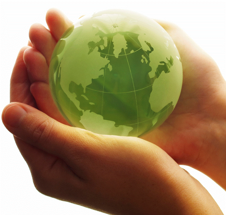 ЗОЛОТАЯ ЛИ СЕРЕДИНА? Опубликованы данные эко-рейтинга Всероссийского общества охраны природы