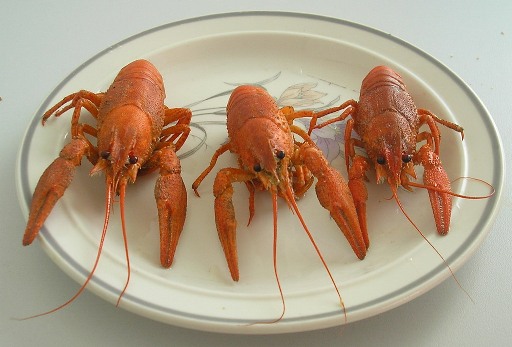 Полиция изъяла 170 килограмм астраханских раков у волгоградца