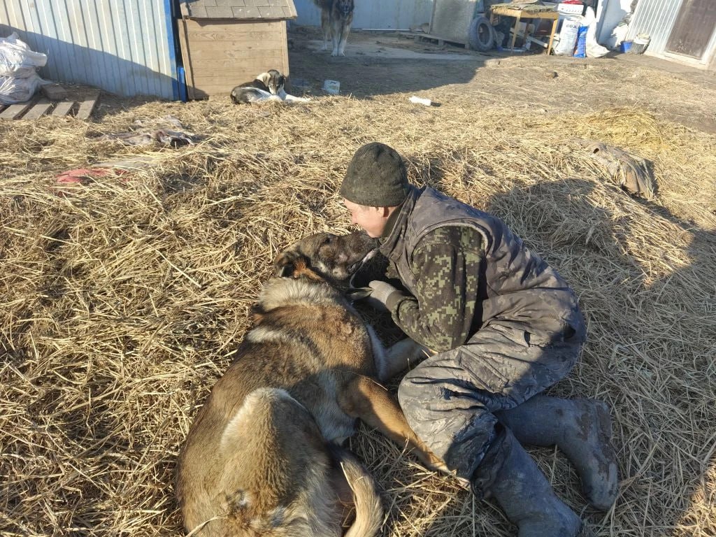 Приютский пес-инвалид из Астрахани обзавелся мамой в Питере