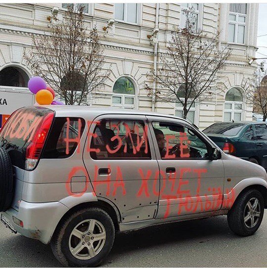 Фото дня: тюльпановое настроение и автомобильная живопись