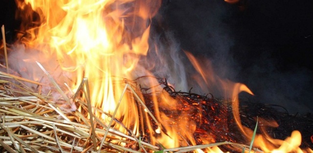 В Астраханской области по неосторожности спалили сено