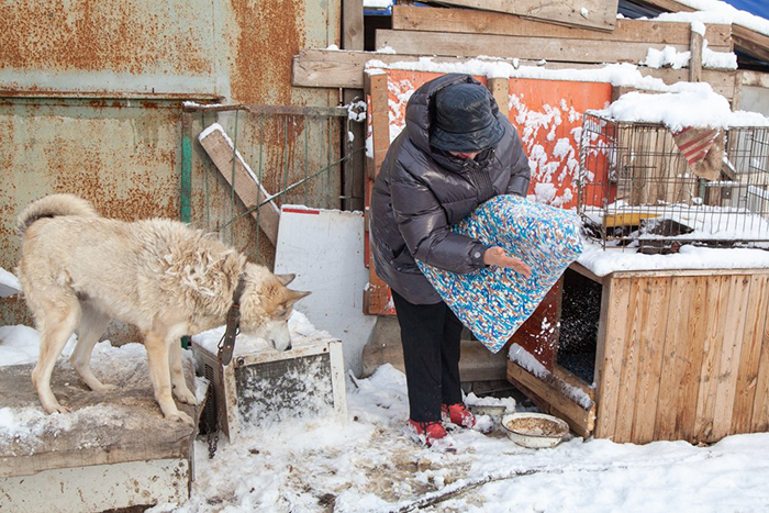 Астраханские пенсионеры сшили коврики для бездомных собак