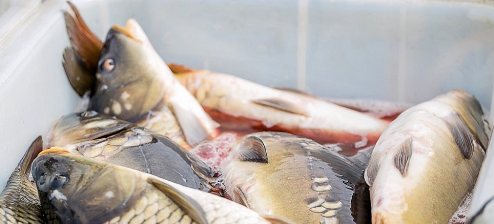 В субботу в Астрахани пройдет первая в этом году ярмарка