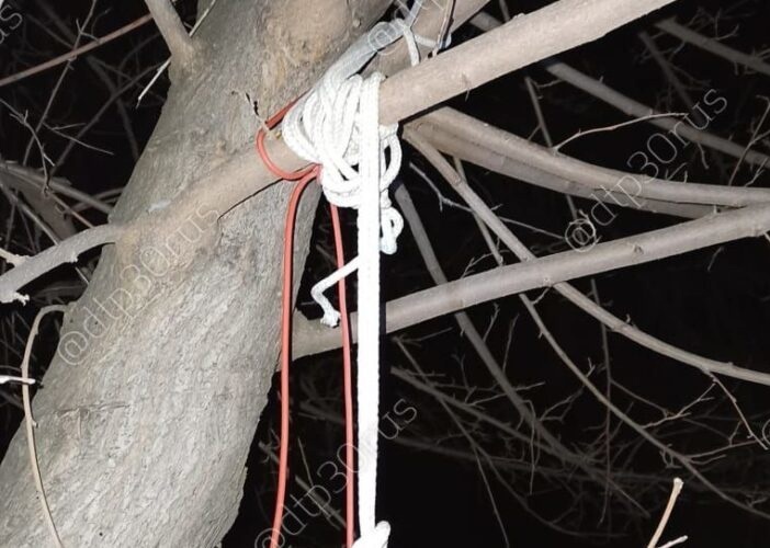 В спальном микрорайоне Астрахани нашли повешенную на дереве девушку