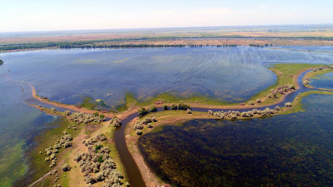 Записки астраханского натуралиста. Анализируя итоги прошедшего паводка