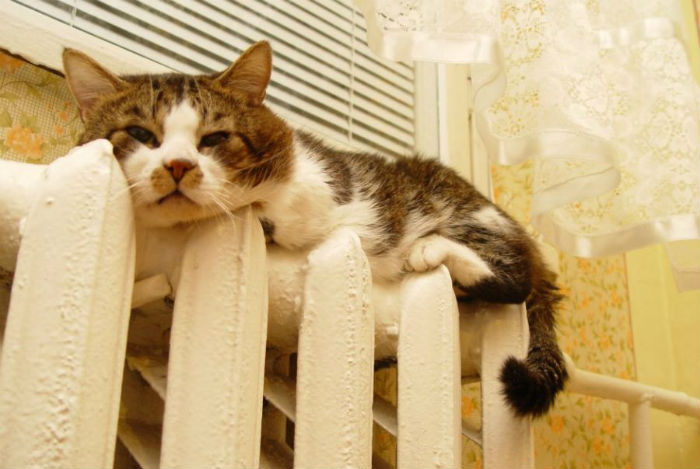 Почему отопительный сезон не начался 15 октября?