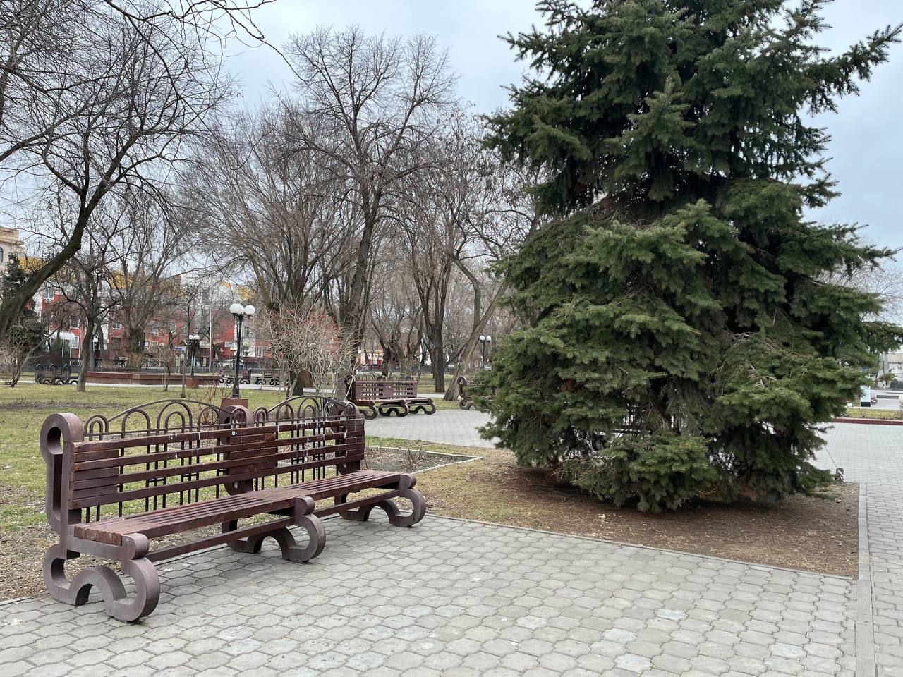 Морозы в Астрахани идут на убыль