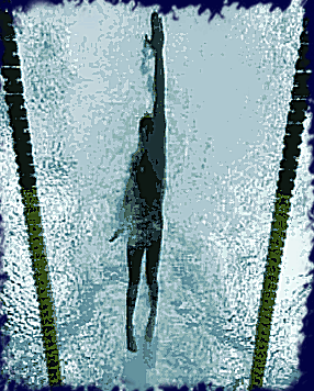 Плывите мимо… На заседании областного правительства заспорили про спорт