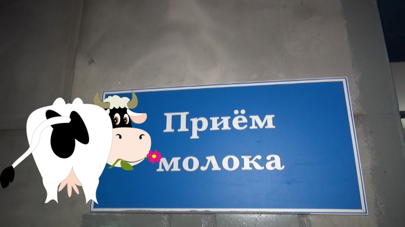 Корова языком слизала: в детсады Астрахани поставляли сомнительные смеси вместо молока