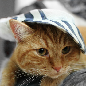 В Астраханской области снова объявлено штормовое предупреждение по жаре