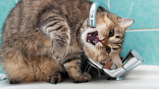 5 месяцев работы и миллионы долгов: что случилось с астраханским концессионером?