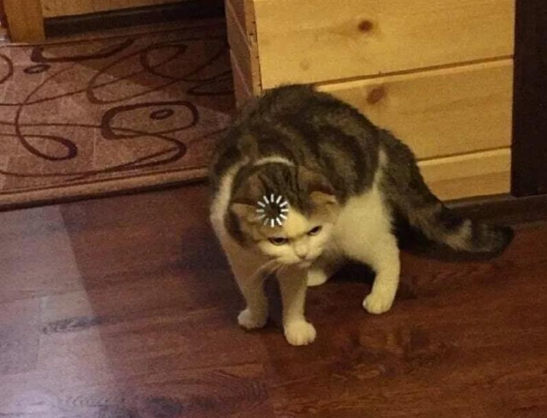 100 000 астраханцев фантомно вакцинировали: разница в отчетах местного оперштаба и Стопкоронавирус.рф продолжает увеличиваться