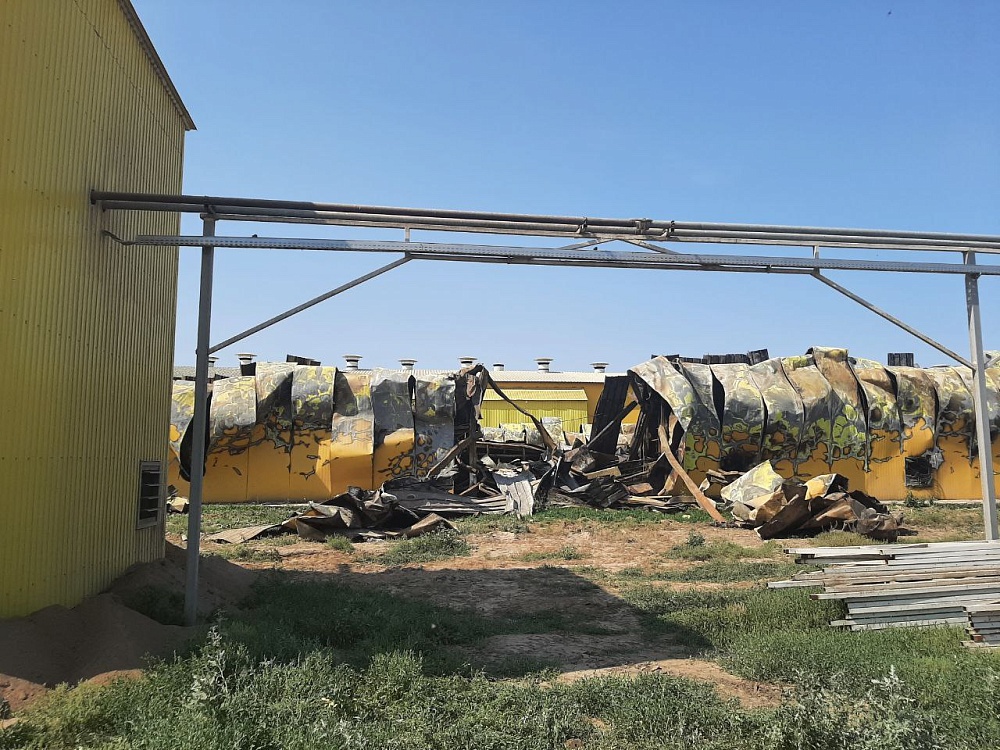 Сроки восстановления горевшей астраханской птицефабрики перенесли 