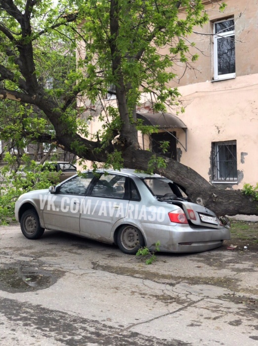 В Астрахани дерево превратило "Лифан" в бесполезную железяку
