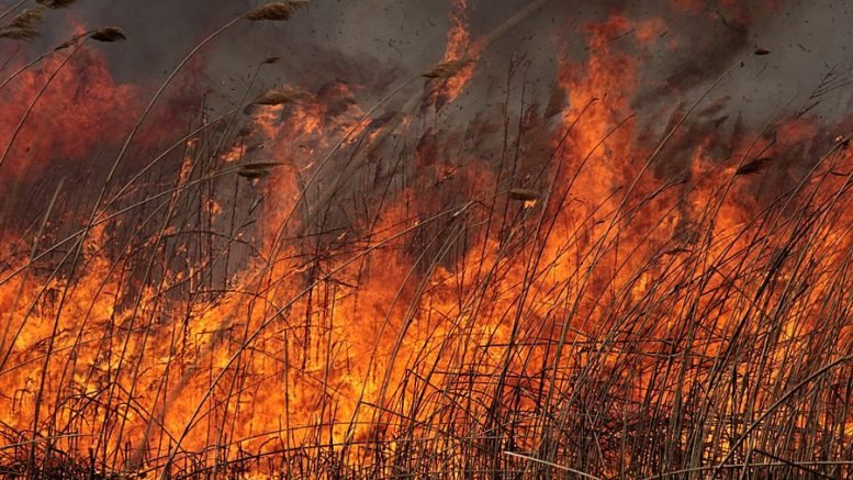 Осторожно, может быть запашок. Под Астраханью начался сильный пожар