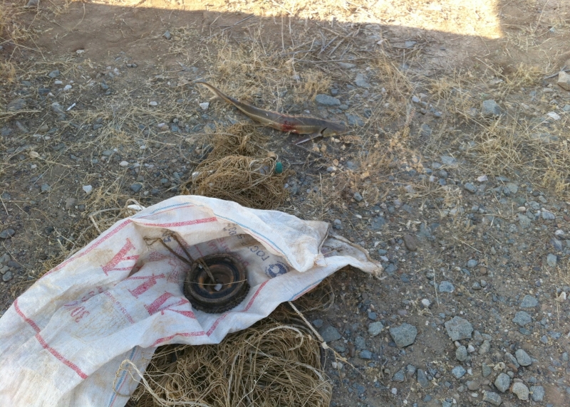 Под Астраханью полиция задержала двух браконьеров: мужчины успели поймать всего одного осетра