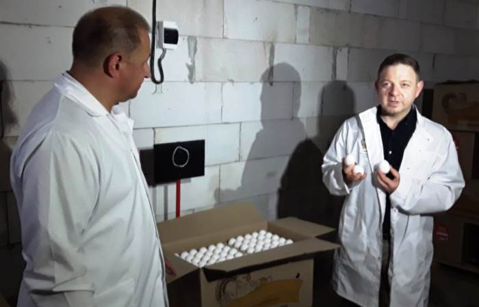 За две недели птицефабрика «Харабалинская» завалит Астрахань белыми яйцами