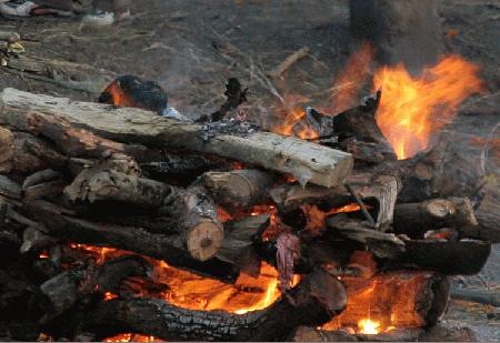 Двое астраханцев изготавливали гашиш прямо в лесу
