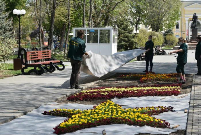 Высадке цветов в скверах и парках Астрахани коронавирус не помеха