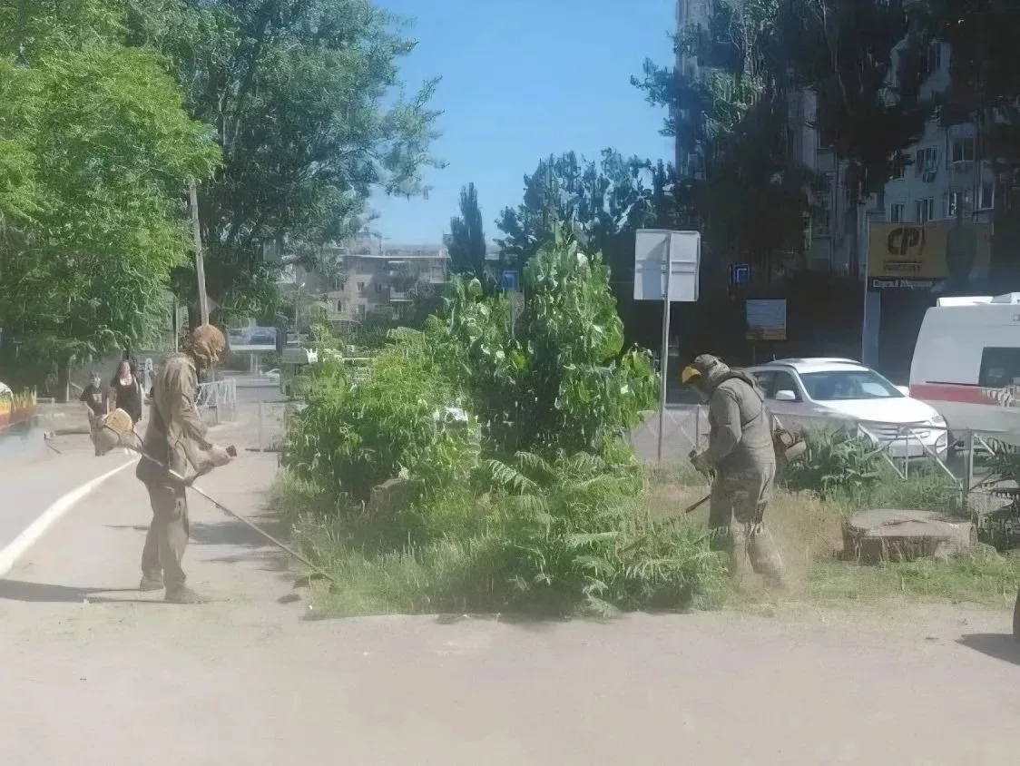 Борьбу с сорняками усилят в Астрахани