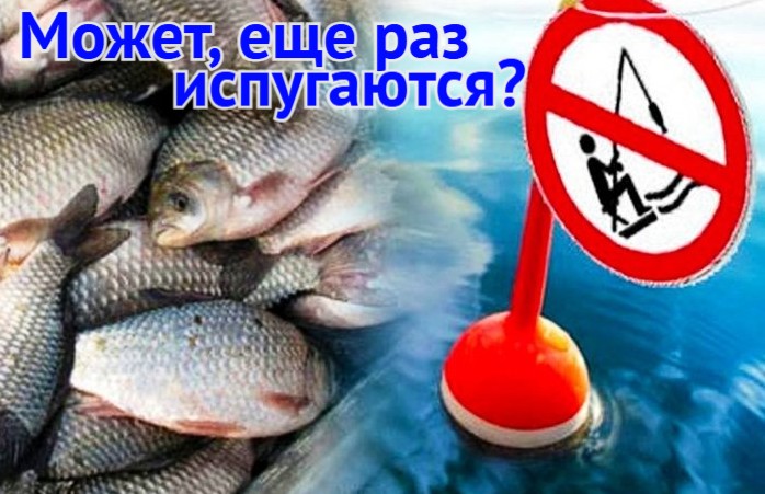 Будет ли еще жестче: приезжающих в Астраханскую область рыболовов пугают новыми ограничениями