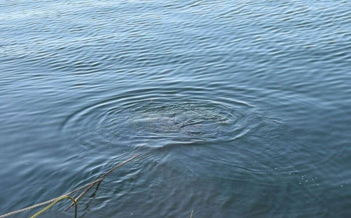 В воскресенье под Астраханью нашли утонувшего мужчину