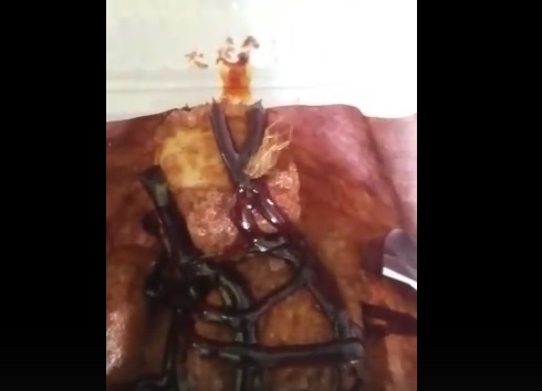 Астраханец обнаружил в кексе таракана