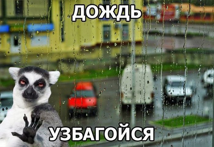 Поплыли дальше. Погода в выходные в Астрахани оставляет желать лучшего