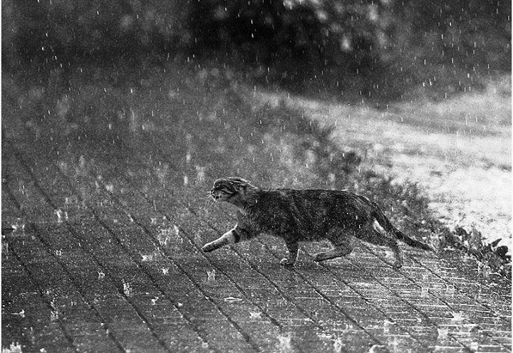 Завтра для прогулок по Астрахани синоптики рекомендуют захватить зонты