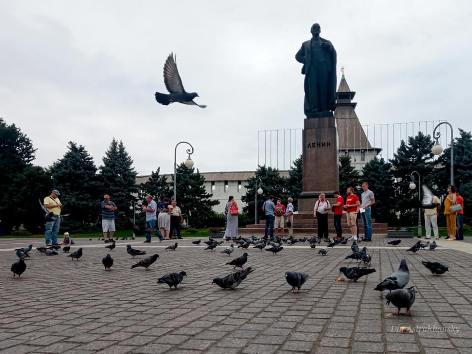 Голубиный протест: как астраханцы поддержали Хабаровск после скандального ареста губернатора Фургала