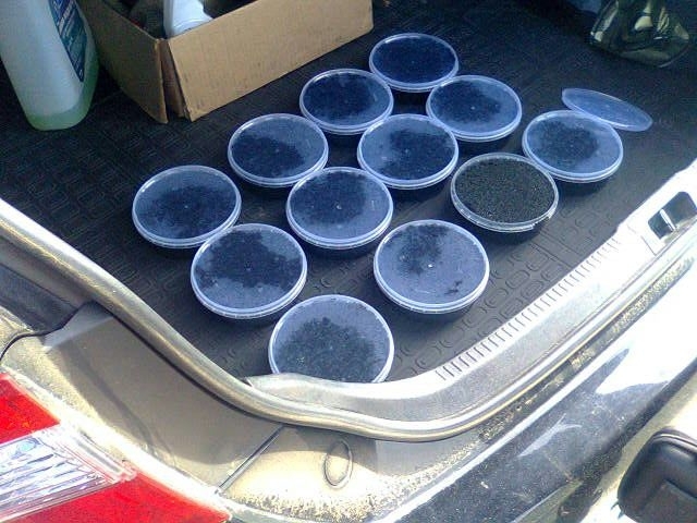 Из Астрахани в Калмыкию ехали шесть килограмм черной икры