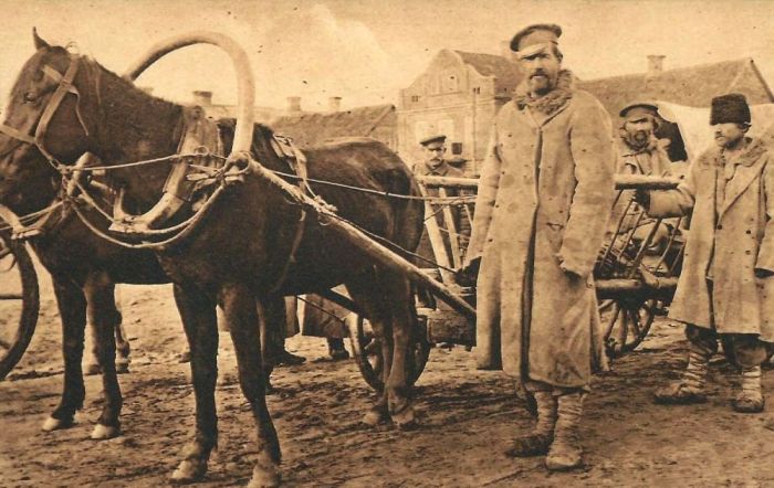 Чем жили. Подготовке к новогодним праздникам в Астрахани мешала грязь