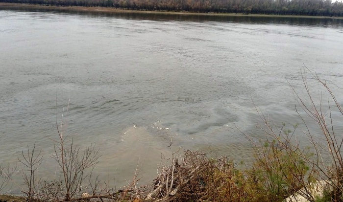 Под Астраханью обнаружили маслянистую пленку на воде