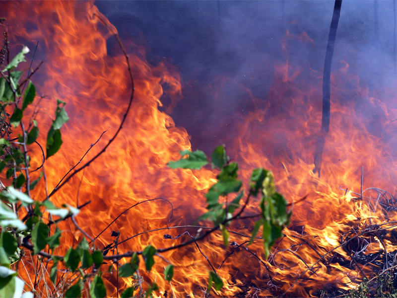 Как в Астрахани продолжают бороться с пожарами