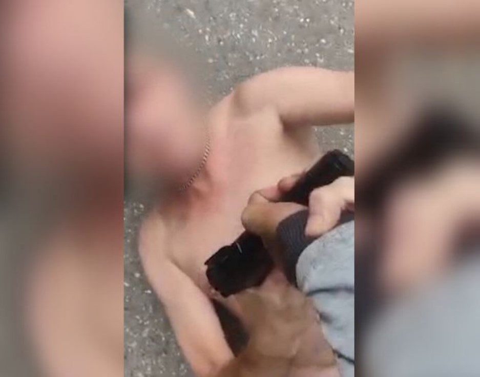 Астраханцы нападают на отловщиков собак с трубами, ножами и пистолетами