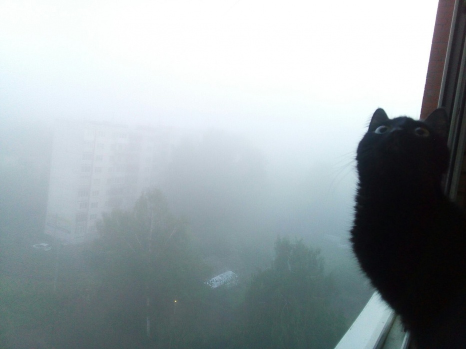 Завтра в Астрахани будет туманно и мокро