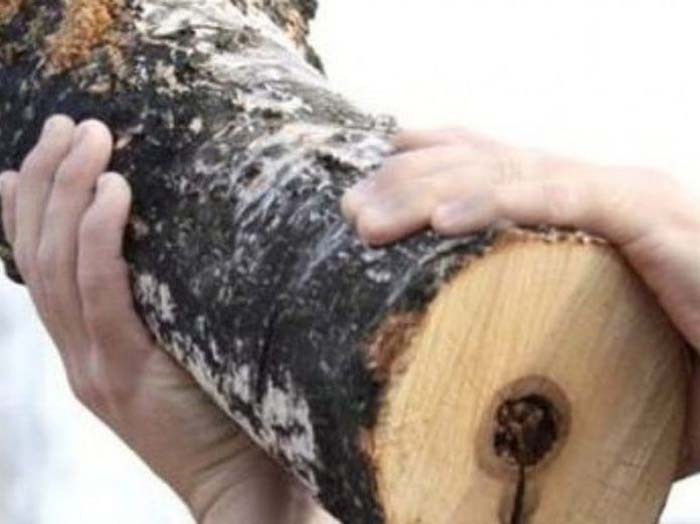 Астраханец, забивший бревном пастуха, не уследившего за скотом, пойдет под суд