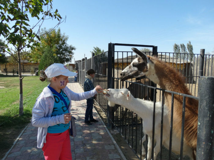 Астраханский зоопарк открылся после карантина, но с определенными условиями