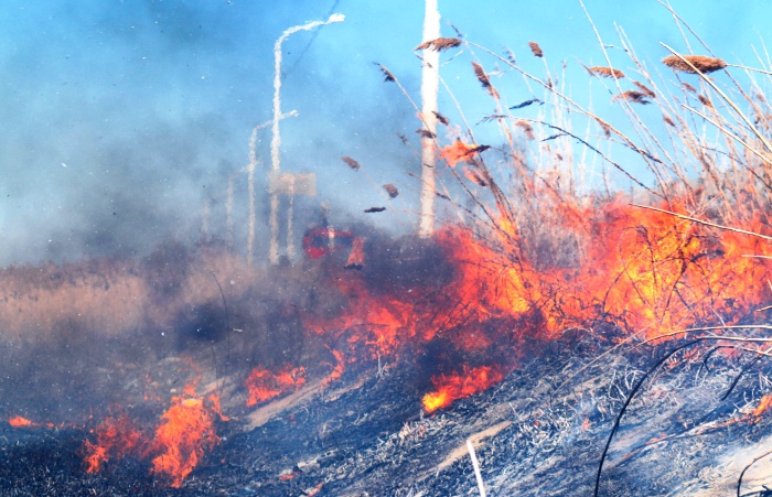 МЧС предупреждает: Астрахань может накрыть запах гари