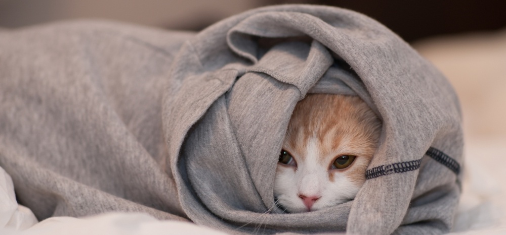 Астраханцам обещают минусовую температуру