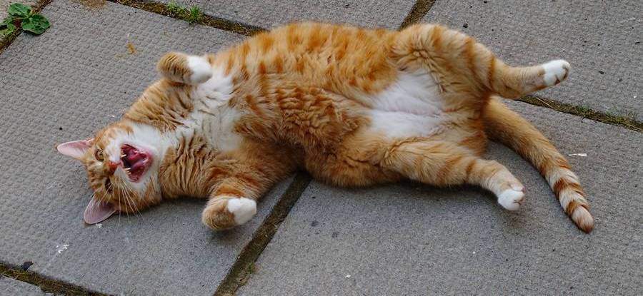 Астраханцев ждет жаркое воскресенье 