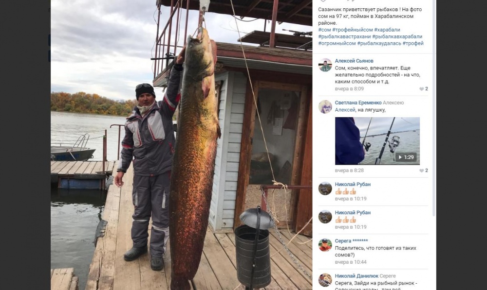 Под Астраханью  поймали сома, который помнит Брежнева