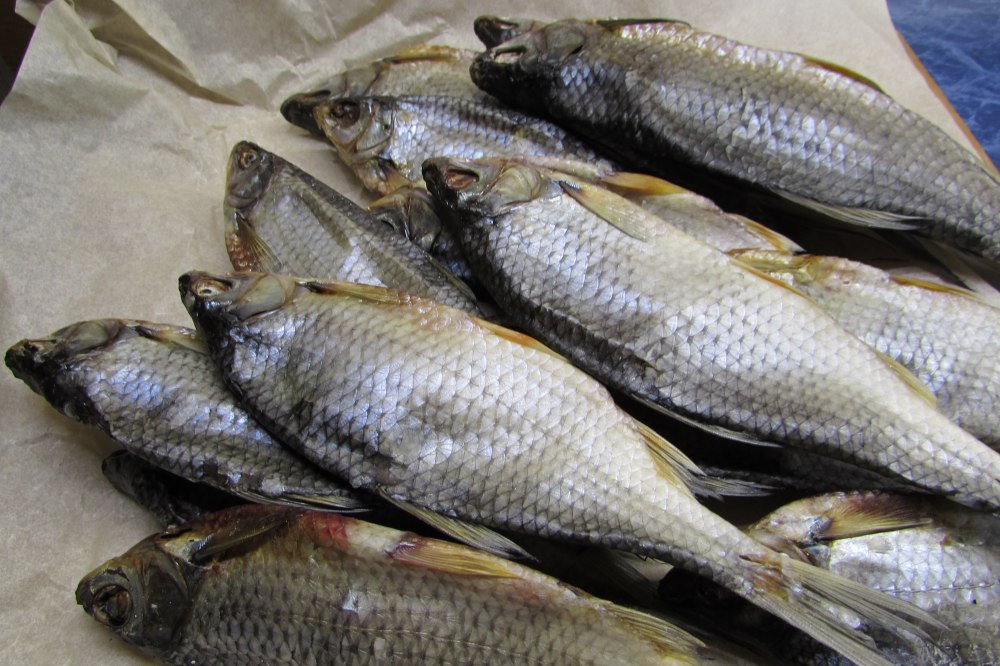 Астраханцы заражаются паразитами, найденными в вобле