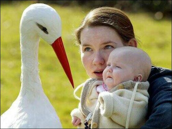 Астраханская область на 25 месте в России по рождаемости