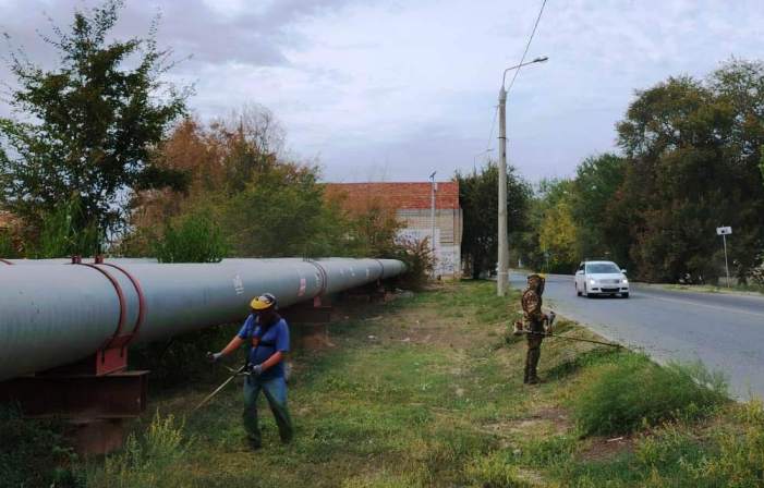 В сентябре в Астрахани скосили свыше 55 гектаров сорной растительности