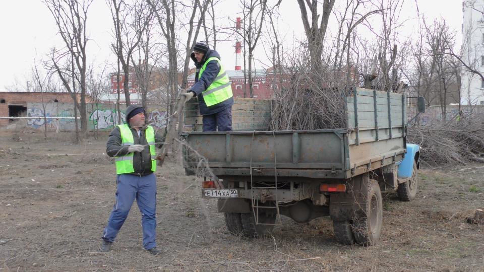 В астраханском Парке велосипедистов проводят омолаживающую обрезку деревьев