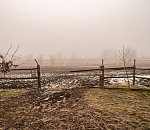 В Астраханской области нашли молочные фермы-призраки с опасной продукцией 